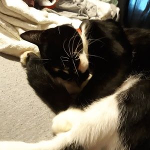 Meet your Posher, Angela